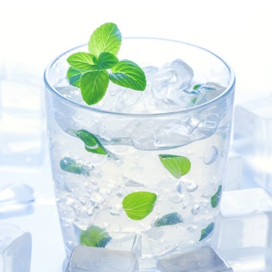 Ice Mint Flavour Vapour E-Liquid Oil Juice Bristol Shop