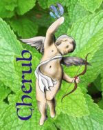 Classic Menthol Cherub e liquid