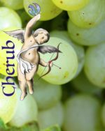 Crazy Grape Cherub E Liquid