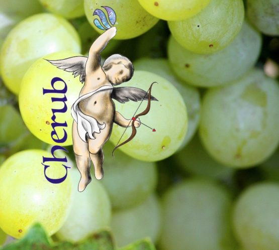 Crazy Grape Cherub E Liquid