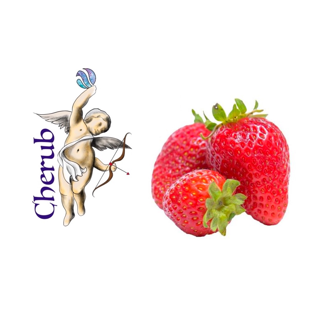 Strawberry Cherub ELiquid Juice 10ml Bottle UK Delivery Bristol Shop