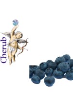 Cherub Blueberry E Liquid Juice
