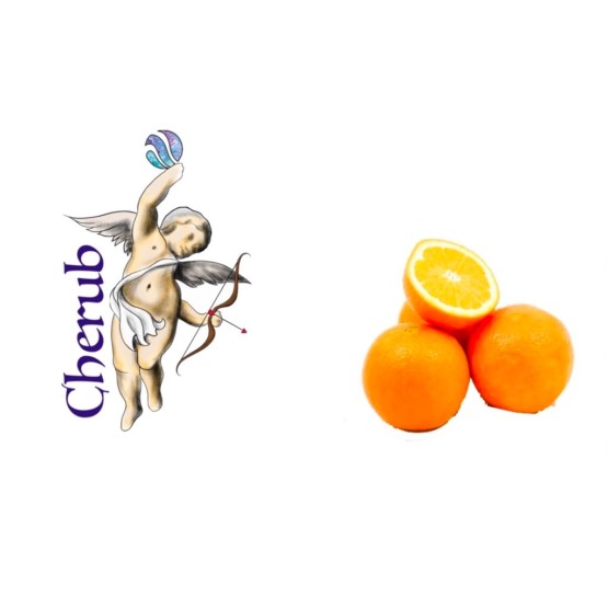 Cherub Orange E Liquid Juice