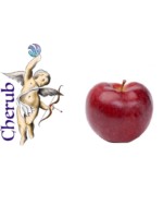 Cherub Red Apple E Liquid Juice