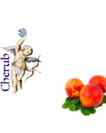 Peach Cherub E Liquid Juice