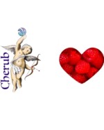 Raspberry Cherub E Liquid Juice
