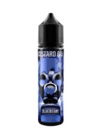 Blueberry Custard Gas 50ml e liquid short fill
